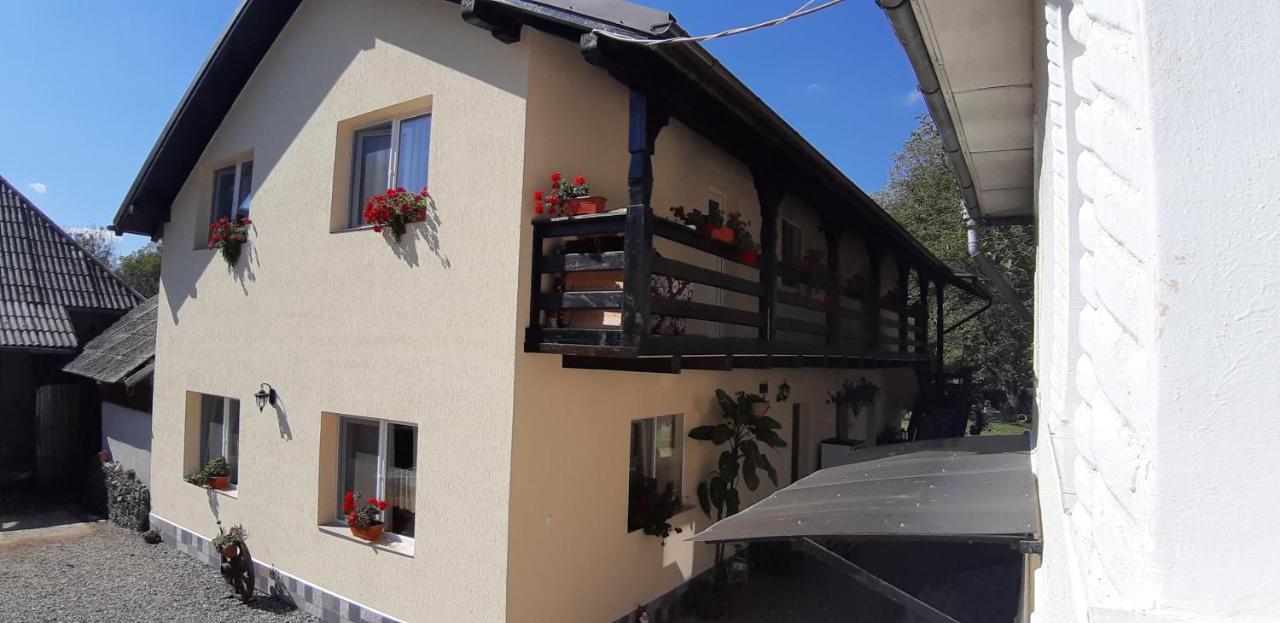 Pensiunea Casa Godja Văleni 외부 사진