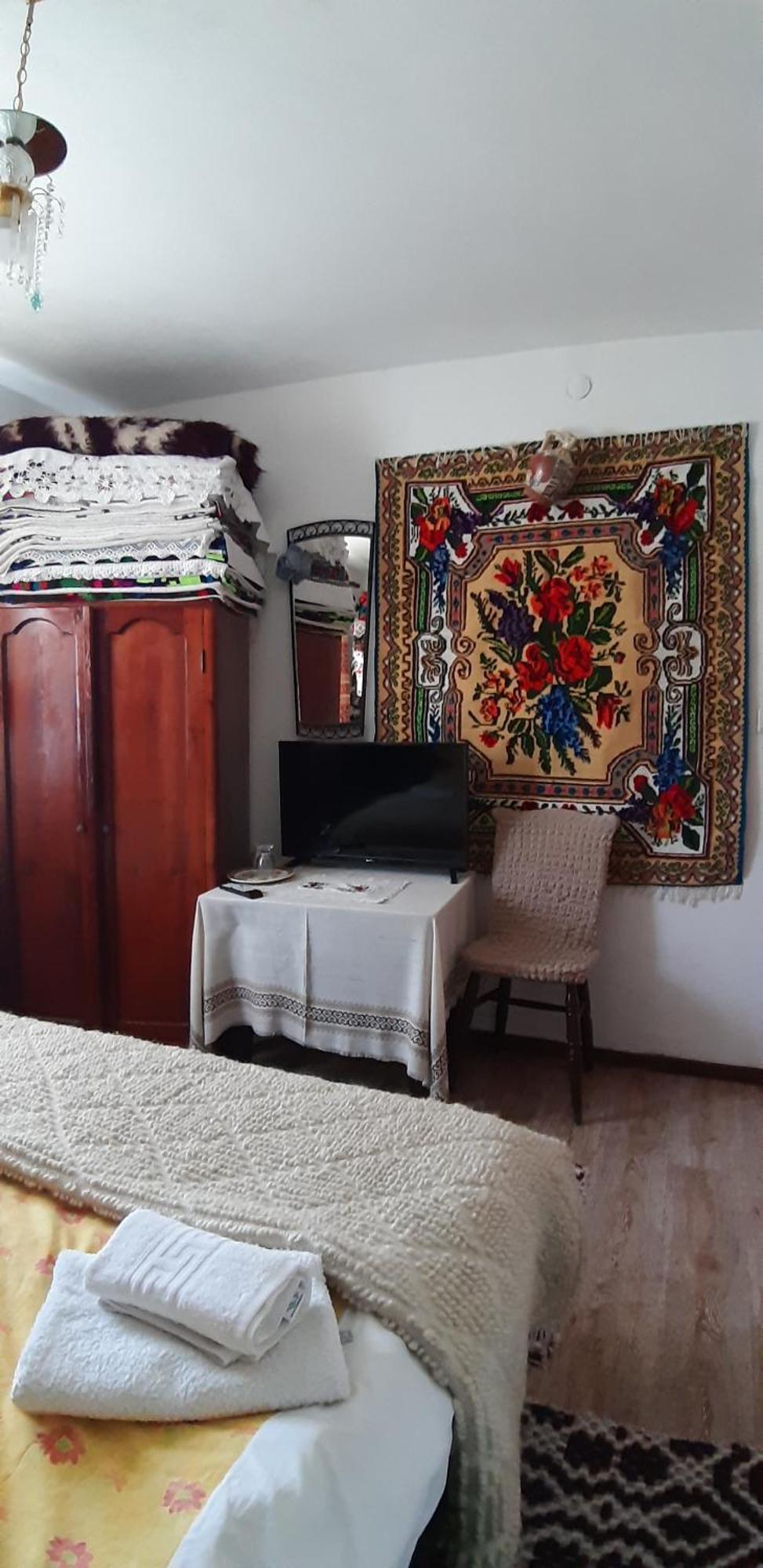 Pensiunea Casa Godja Văleni 객실 사진