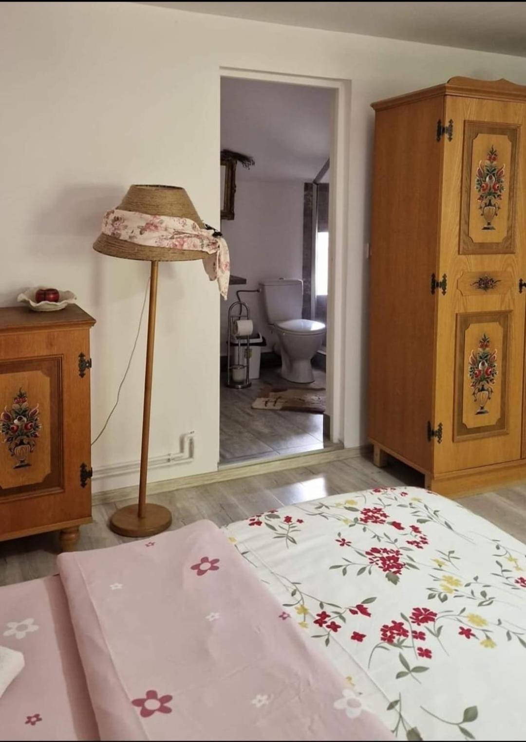 Pensiunea Casa Godja Văleni 외부 사진