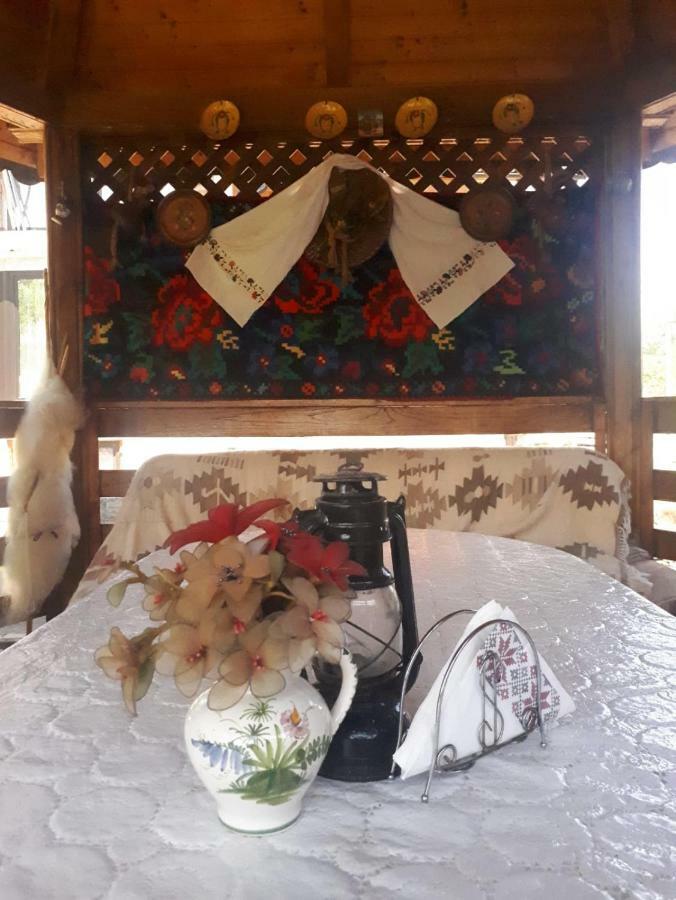 Pensiunea Casa Godja Văleni 외부 사진