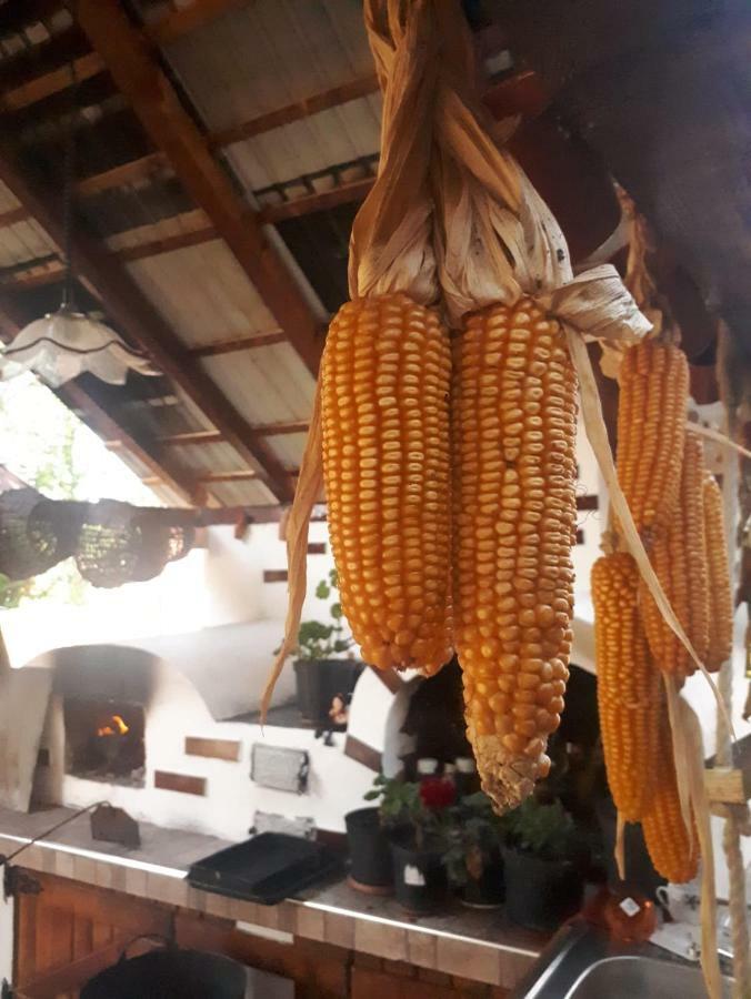 Pensiunea Casa Godja Văleni 외부 사진